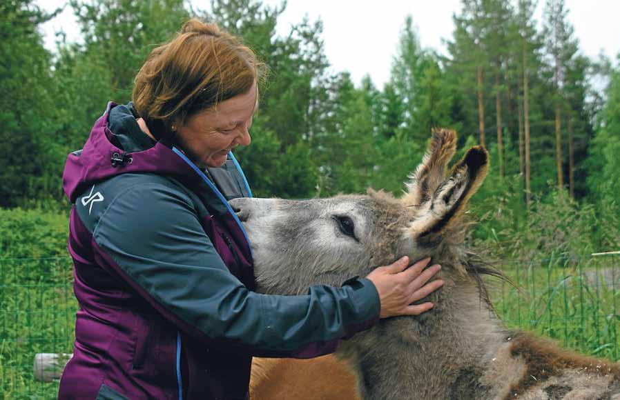 Vaakku-kissa viihtyy Elina Kokkoniemen sylissä. Papu-kani tuli Kokkoniemien perheeseen sattuman kautta.