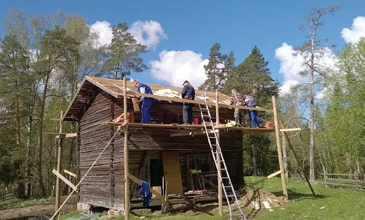 Hohtavan hienot päreet Ojakkalan aitan katon päreet naulattiin kiinni talkoilla. Parhaimmillaan kattotalkoissa oli kahdeksan naulaajaa.