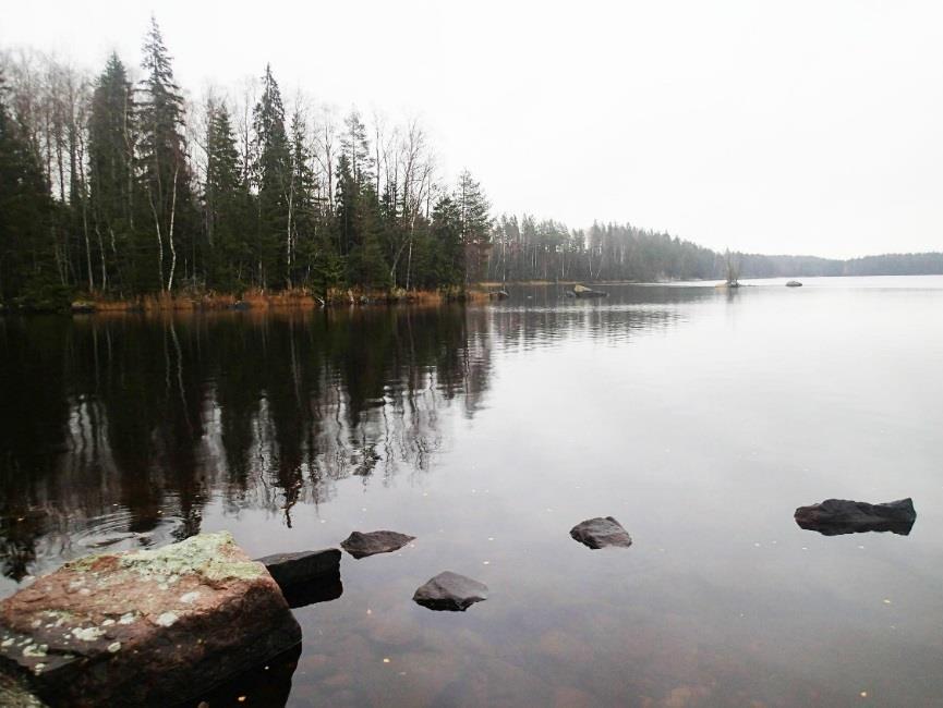 5 Kuvia Näkymä Karkkuniemestä etelään.