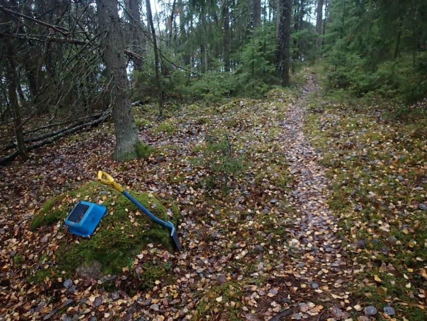 Karkkuniemen rannan maasto on tasaista,