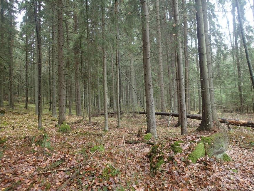 6 Pohjoiseen n. kohdassa N 6752153 E 386556.