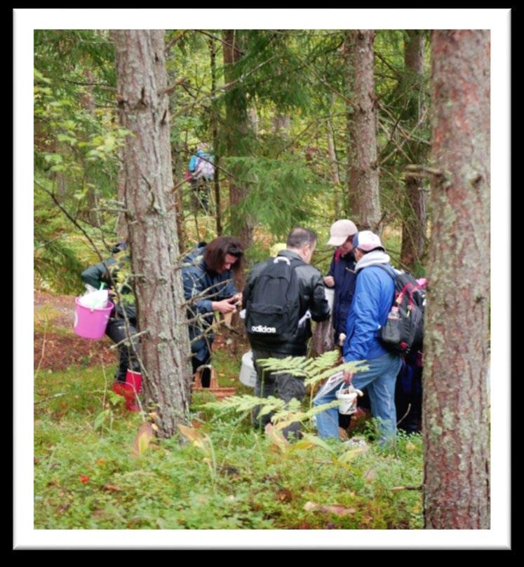 Kestävän kehityksen koulutus Visio pyrkii kaikella koulutustoiminnallaan tukemaan yksilöiden ja yhdistysten kestävän kehityksen mukaista toimintaa.