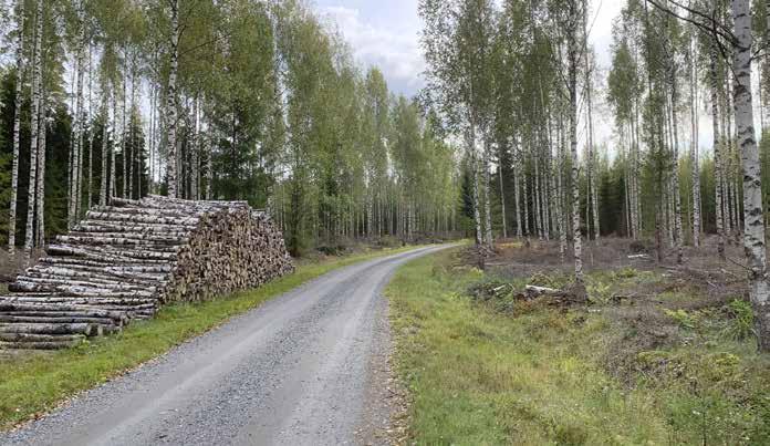 Suunnitellun sähköaseman luona