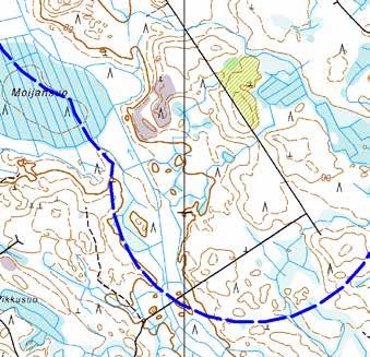 Turbiinipaikka 5 Kasvillisuuskuvaus: Mustikkatyypin (MT) tuoreen kankaan harvennettu männikkö, jossa kasvaa paljon kuusten ja koivujen taimia.