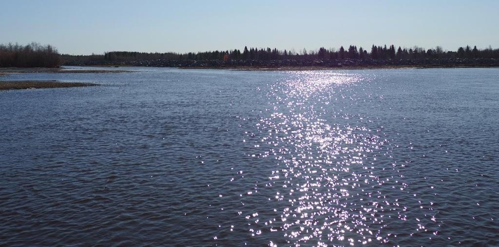 Metsillä on siinä suhteessa maisemarakenteellista arvoa.