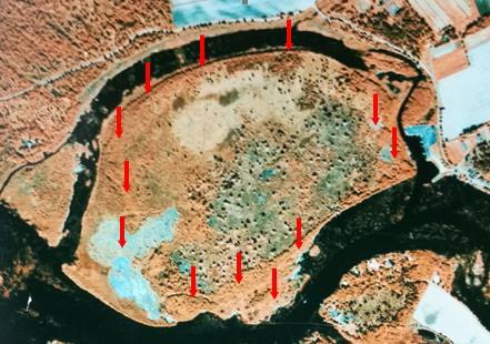 Pyhäjoen rantavyöhykkeen metsässä sekä etenkin Matinsaaressa. Pyhäjoen pohjoisen haaran rantavyöhykkeet ovat valtaosin tulvavaikutteista rantaluhtaa.