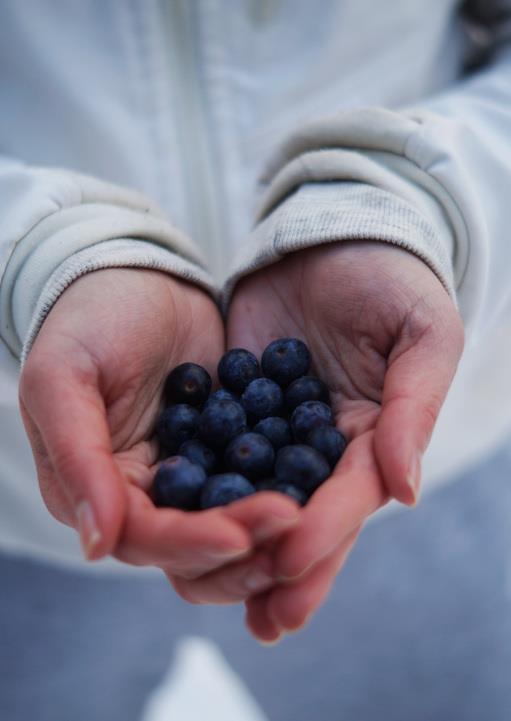 TOIMINNAN VÄLIKATSAUS Hallitus käsitteli vuoden 2020 toiminnan välikatsauksen eloseminaarissa 14.-16.8.