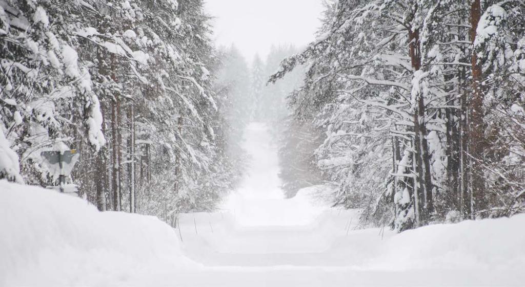 Talkoilla saadaan varmaan hyvä lopputulos aikaiseksi. Stagsundissa on vielä muutama kausipaikka vapaana.