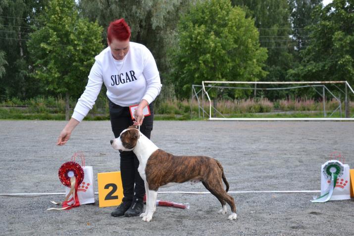 ja 25.8. Tuomareina ja talkoolaisina toimivat piirin nuorisojaostolaiset ja toimihenkilöitä.