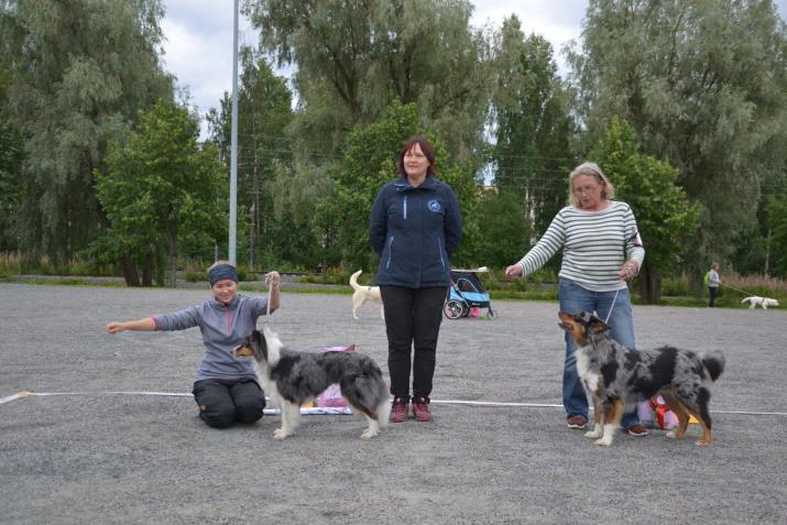 isovillakoira Dali SIN2 kultainennoutaja Fico SIN3 basenji Raipe SIN4 berninpaimenkoira Pyry Pienet pennut: PUN1 kääpiövillakoira Vinha PUN2