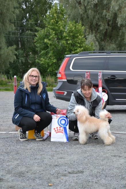 SIN4 espanjanvesikoira Nita Pienet aikuiset: PUN1 cockerspanieli Kaapo PUN2 parsonrussellinterrieri Diesel PUN3 basenji Gösta PUN4 lk.