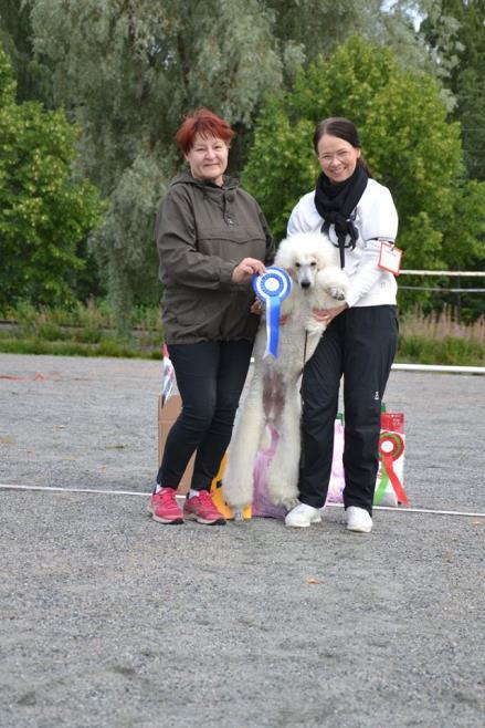 Monirotuiset: 1. x-rotu Caramel Veteraanit: 1. siperianhusky Geri 2. lyhytkarvainen kääpiömäyräkoira Luna 3. mittelspitz Riiviö 4.