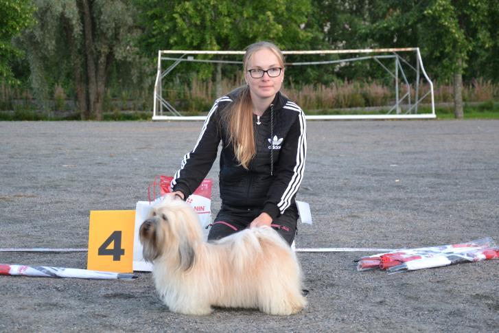 Stella BIS2 siperianhusky veteraani Geri BIS3