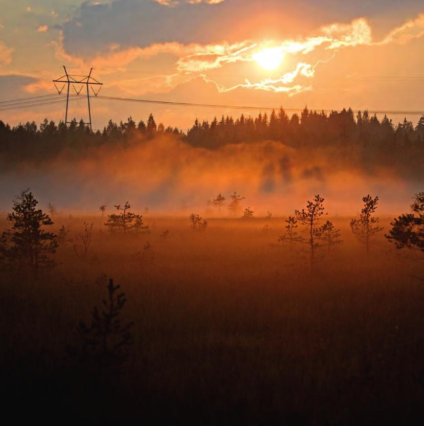 TEEMA Maastossa Natura-alueita ja luonnonpuisto Järvilinjan siirtokyky tuplaantuu Oulusta Lappeenrantaan kulkevan Järvilinjan vahvistaminen 400 kilovoltin voimajohtoyhteydeksi on käynnistynyt kesän