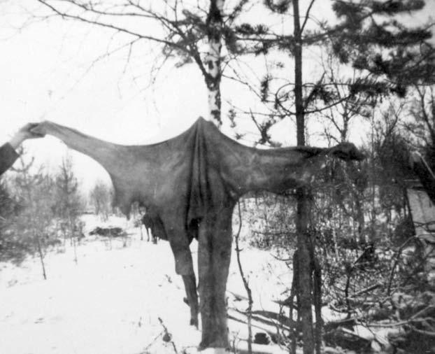 tön ottamaa, sensuurin talteen poimimaa tai muilla tavoin TK-kuvaajien haltuun joutunutta materiaalia. Kysymykseen on tässä tutkimuksessa mahdoton vastata.