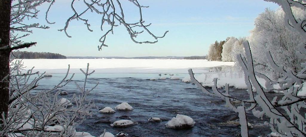 NÄKYMIÄ MARRASKUU 2020 POHJOIS-SAVON ELY-KESKUS ETELÄ-SAVO KANTA-HÄME KESKI-SUOMI PIRKANMAA POHJOIS-KARJALA POHJOIS-SAVO PÄIJÄT-HÄME Uutisrysä ELY-keskus Järvi-Suomen kalatalouspalvelut