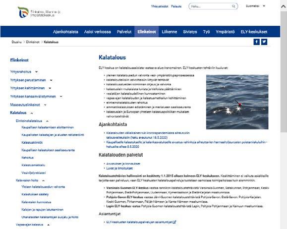 ELY-keskusten verkkosivut ja tiedotepalvelu uudistuivat TEKSTI: HELI PEURA ELY-keskusten verkkosivut siirtyivät lokakuussa uuteen versioon. Verkkosivujen osoite on pysynyt samana www.ely-keskus.fi.
