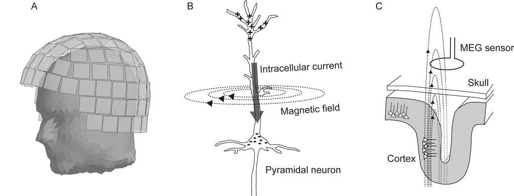 Methods comfortable listening volume via non-magnetic earpieces. In PIII, manual performance was not constrained by any specific stimulation protocol.