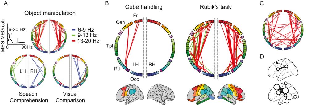 Summary of the experiments and results results (using eight cortical subdivisions) displaying node and edge degrees.