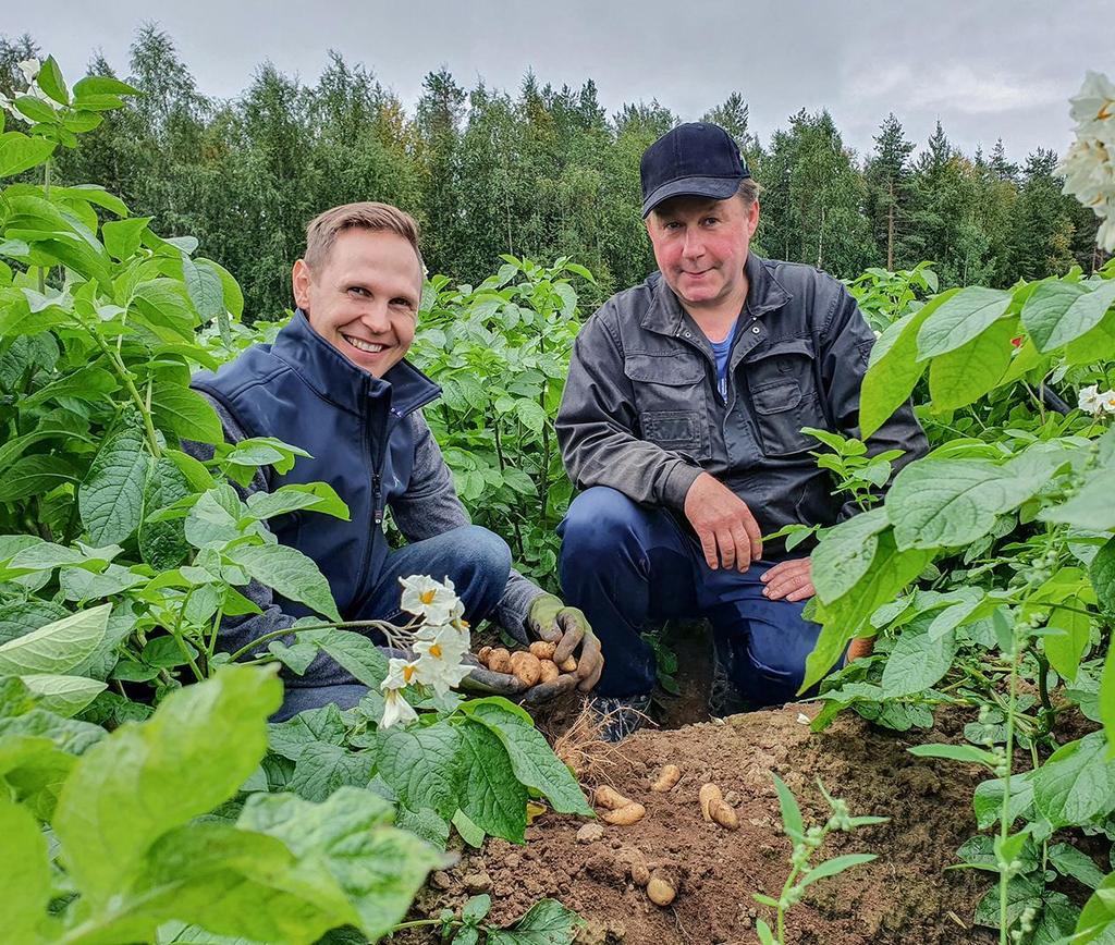 Perunantuotannon kehittämispalvelu otti huomioon kokonaisuuden.