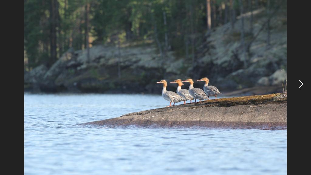 Ilkka Kunnamo Dosentti, yleislääketieteen