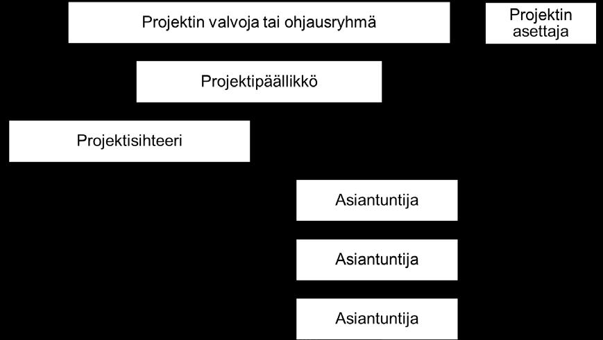 31 kohdeorganisaatiossa on varsinaista projektiorganisaatiota.