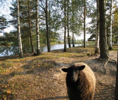 Luonnon monimuotoisuuskohteiden arvo voi lajiston sijaan