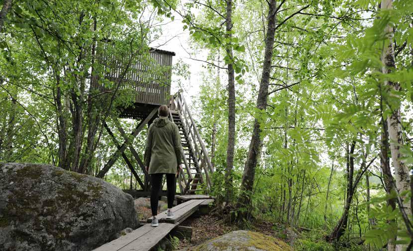 6.4 Kuokkalan eteläiset rannat Kuokkalan eteläisiä rantoja pitkin kulkee jo monin paikoin rannan tuntumassa reittejä, joiden pohjalta on helppo lähteä kehittämään yhtenäistä ja opastettua reitistöä.