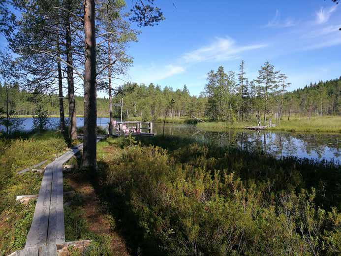 3. Ohjelman laadinnan prosessi 3.