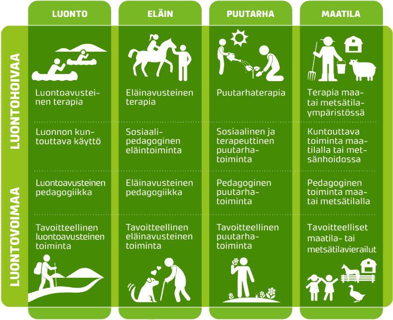 8 harrastuspalveluja. Ne ovat tarjolla jokaiselle ja palvelun maksaja on usein käyttäjä itse.