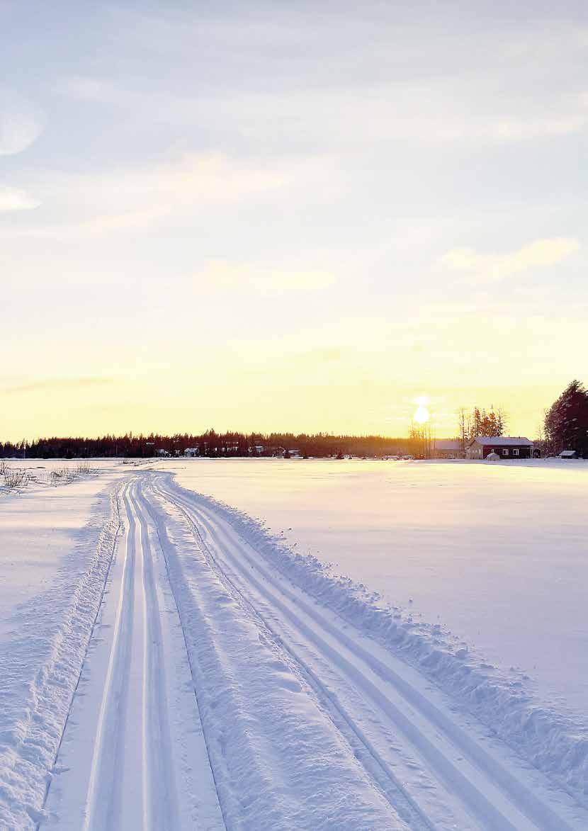Ohkolan Kyläsanomat Nro 101