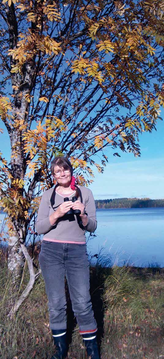 Haaveena 100 vuodenpinnaa Kopolasta Tuula Vanamo Vesilinnut katsellaan sulan veden aikaan päivittäin. VANAMOT AAMU Elokuun 20. päivä 2013 klo 05.20. Pääskyjä, kahdeksan tai yhdeksän.