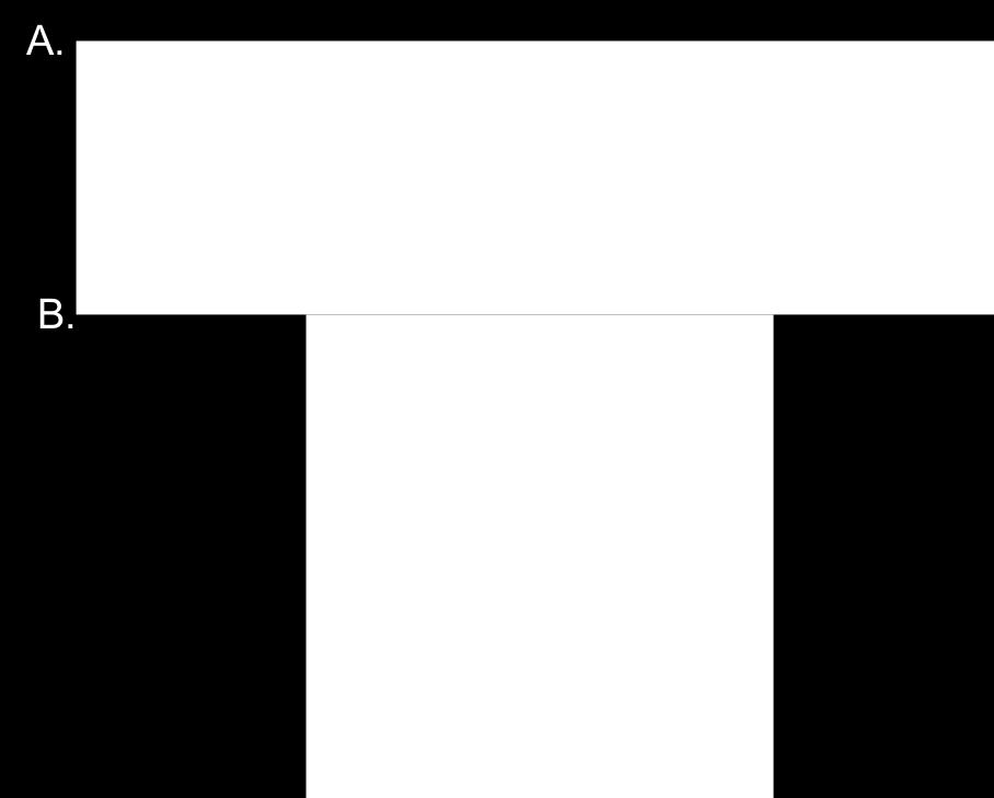 In the side view, the left protomer of AcrB porter domain is in the L state when it is binding high-molecular mass substrate (HMMS) at the proximal binding pocket (5) and in the T state when it is