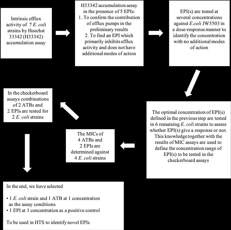 22 3 EXPERIMENTAL PART 3.1. Objectives The purpose of this study was to identify the optimal assay conditions to be used in the future for HTS of novel EPIs.