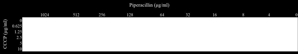 47 Table 5. Checkerboard assay combining piperacillin with CCCP for E. coli BAA1161. Average of five individual assays with 1 replicate in each.