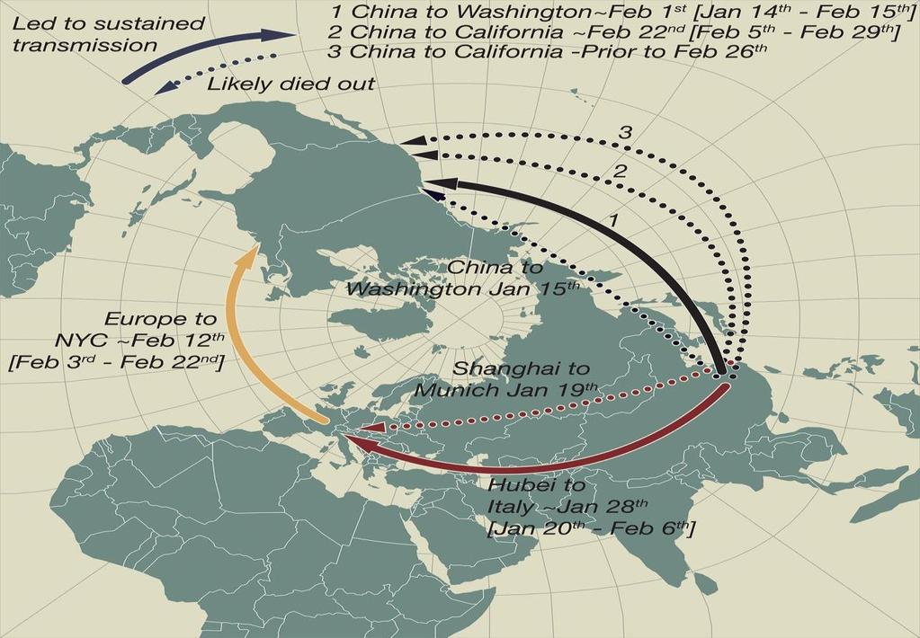 17 Pohjois-Amerikassa ja Australiassa. Science-lehden artikkelissa on esitetty hypoteesi, miten covid-19-tauti levisi Eurooppaan ja Yhdysvaltoihin (kuva 2).