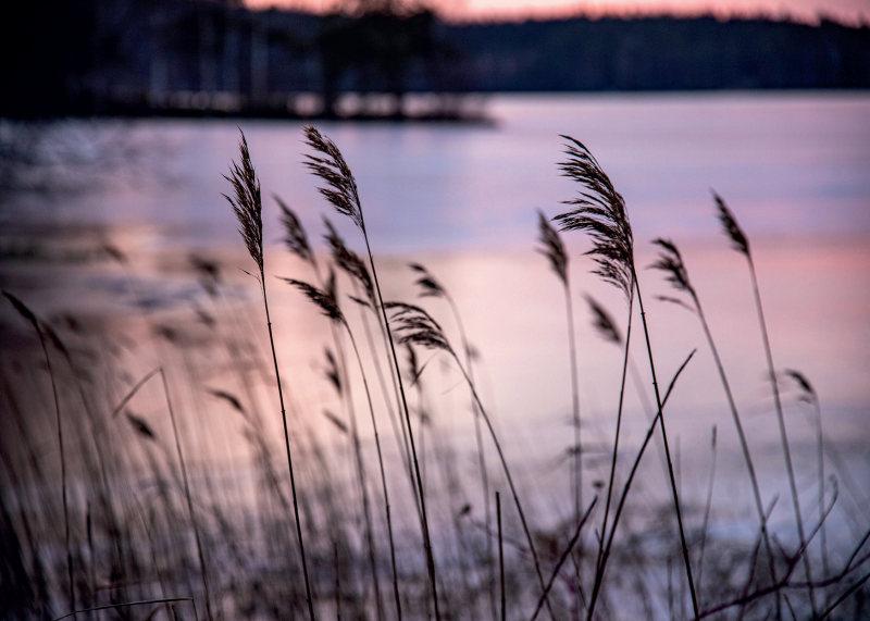 Kurssit Kannonkoskella Kannonkosken osastonjohtaja Tarja Alainen tarja.alainen@kannonkoski.fi / puh. 044 459 6151 Ilmoittautumiset netissä www.opistopalvelut.fi/saarijarvi.