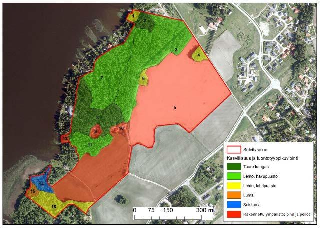 Kuva: Selvitysalueen kasvillisuus- ja luontotyyppikuviointi. Kaavoitettava alue on pääosin peltoa (kartassa kuvio 5).