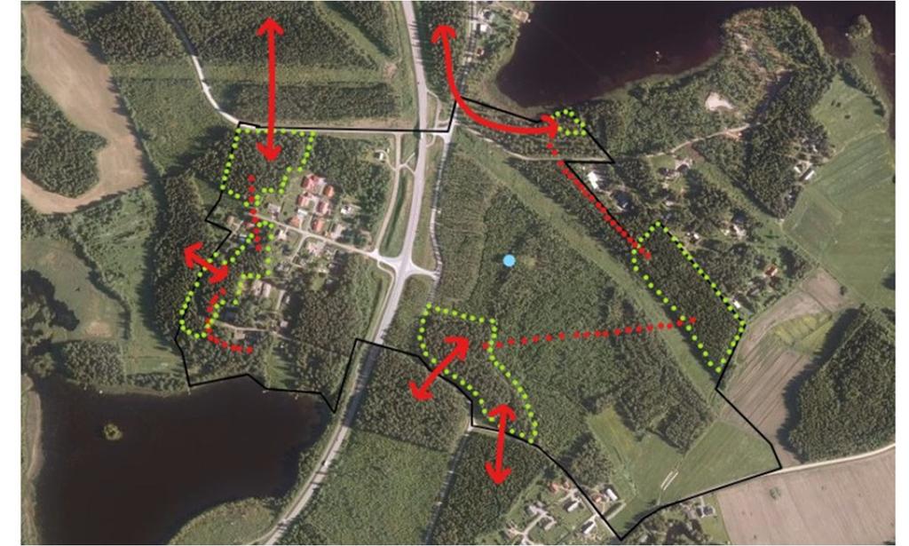 Kuva 3. Liito-orava-alueet ja tärkeimmät kulkuyhteyssuunnat. Mustalla on rajattu kaava-aluetta laajempi luontoselvitysalue. (Vartija N.2017).