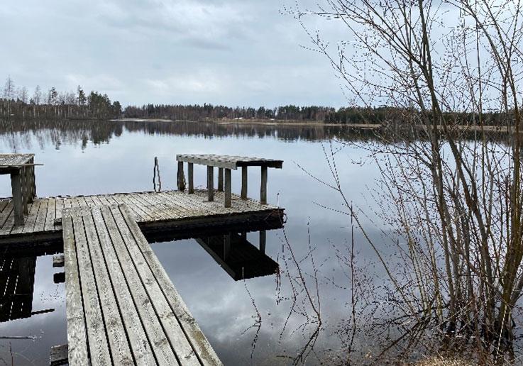 Kuva 4. Alueen rantamaisemaa ja toteutunutta käyttöä. Laiturin itäpuolella rantaan on muodostunut pajukkoa ja toisaalta laiturin länsipuoleinen ranta-alue on selkeää metsäistä aluetta.