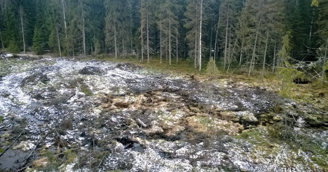 l u o n t o Vesilintukosteikko - Vaihtoehto huonosti tuottavalle metsämaalle Monelle metsänomistajalle on varmasti tullut ainakin ajatuksen tasolla vastaan märkien suolänttien metsätaloudelliset