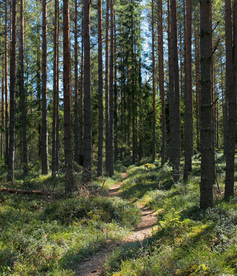 Hyvä Harvestia-lehden lukija! Toivomme palautetta lehdestämme.