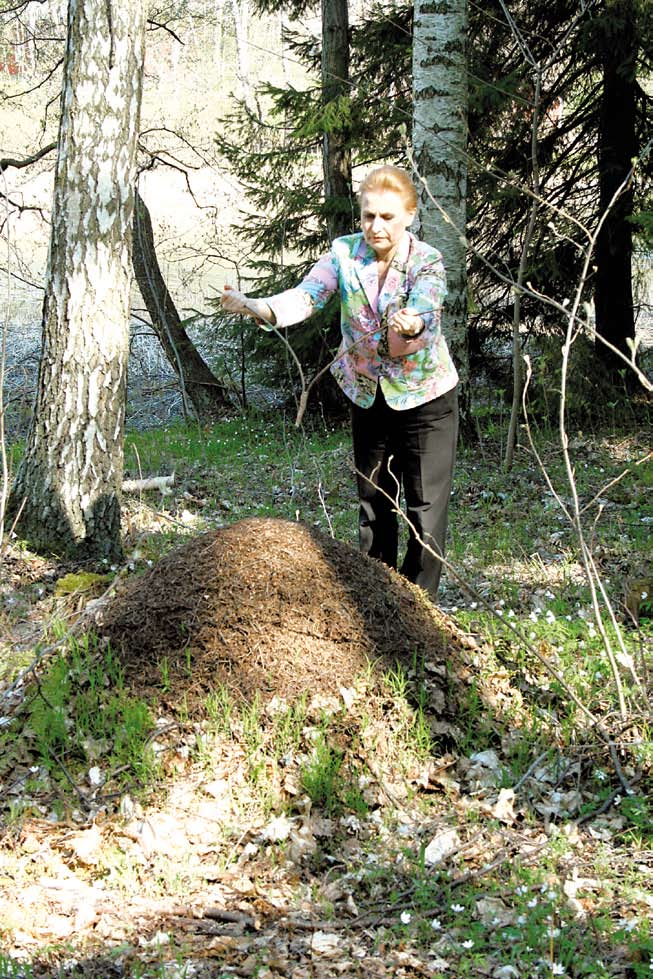 Yhdistyksemme järjestämillä kursseilla voi oppia käytännössä, miten bioenergiaa välitetään ja miten maasäteilyltä voidaan suojautua.