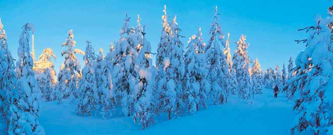 Uusi Rovaniemi keskiviikko 22.1.2014 7 SEPPO VÄINÖNHEIMO TYKKYKUUSIKKOA. Ounasvaaran talviluontoa pääsee ihastelemaan myös ilman suksia tai lumikenkiä.