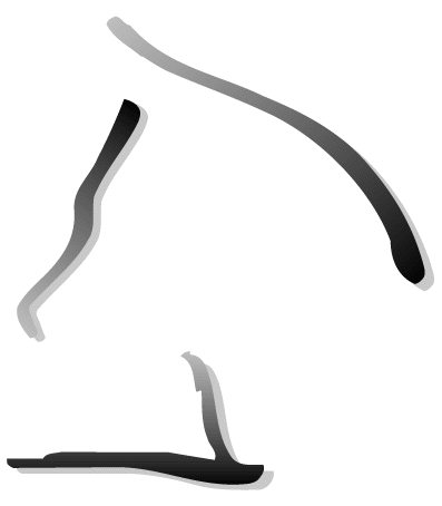 Kennelklubben ry AIREDALENTERRIERI 1/4 (AIREDALE