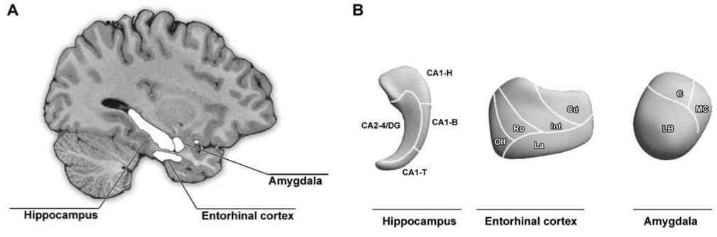 MAGNETIC RESONANCE IMAGING PATTERN LEARNING IN TEMPORAL