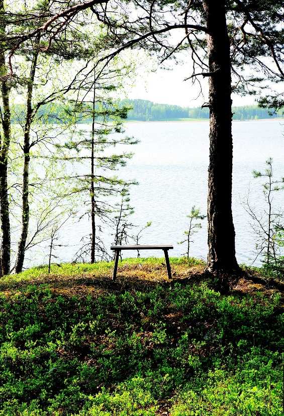 Hyödyllinen metsäpuutarha Kasvillisuus on erityisen runsasta metsä puutarhassa sen monien kerrosten ansios ta. Runsas kasvillisuus parantaa pienilmastoa monin tavoin.