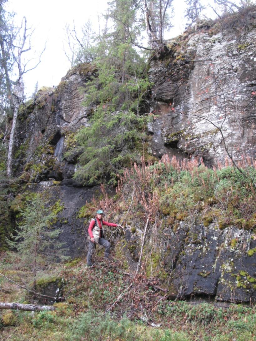 GEOLOGIAN TUTKIMUSKESKUS 19.3.2015 10 4. Kangasharju Kuva 7.