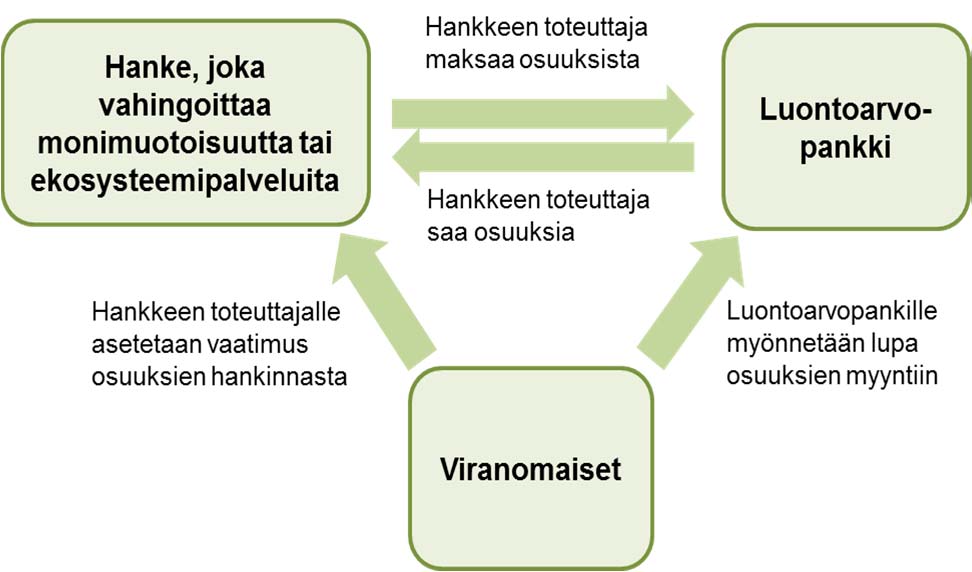 ries Service), myöntää luvan alueen käytölle, mutta velvoittaa kompensoimaan vaikutukset. Kosteikkojen kohdalla vastaavan luvan voi myöntää US Army Corps of Engineers ja tavoite on ei nettohävikkiä.