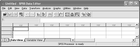 SPSS OPAS 2 1 AINEISTON TALLENTAMINEN 1.